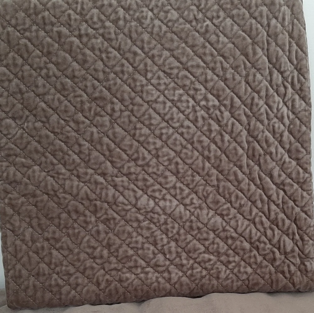 *Williams Sonoma Diamond Velvet Euro Shams
